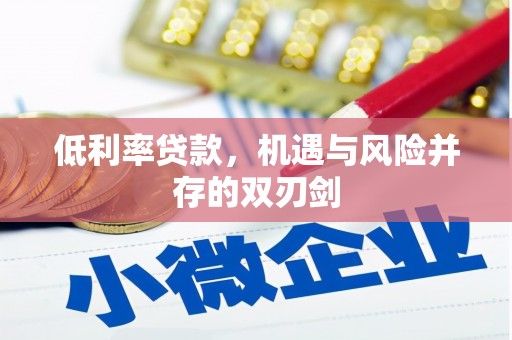 津南低利率贷款，机遇与风险并存的双刃剑