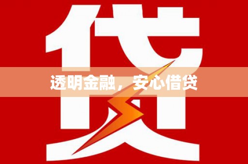 津南透明金融，安心借贷