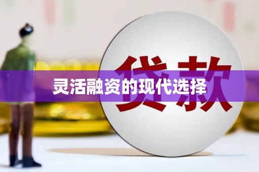 津南灵活融资的现代选择