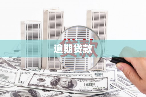 津南逾期贷款