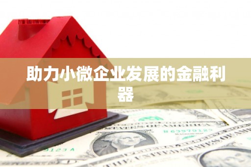 津南助力小微企业发展的金融利器