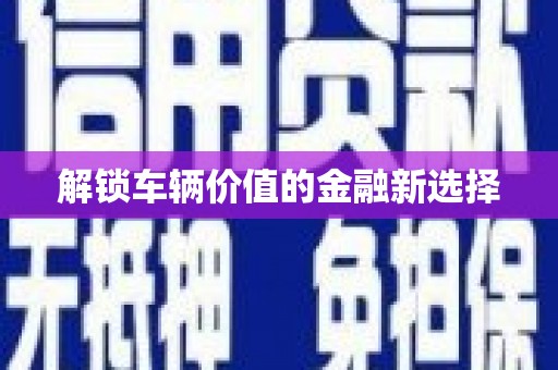 津南解锁车辆价值的金融新选择