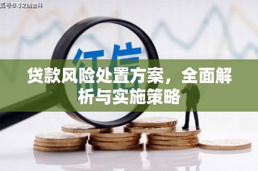 津南贷款风险处置方案，全面解析与实施策略