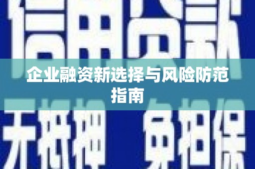 津南企业融资新选择与风险防范指南