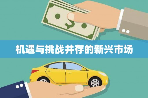 津南机遇与挑战并存的新兴市场