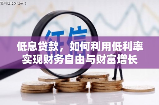 津南低息贷款，如何利用低利率实现财务自由与财富增长
