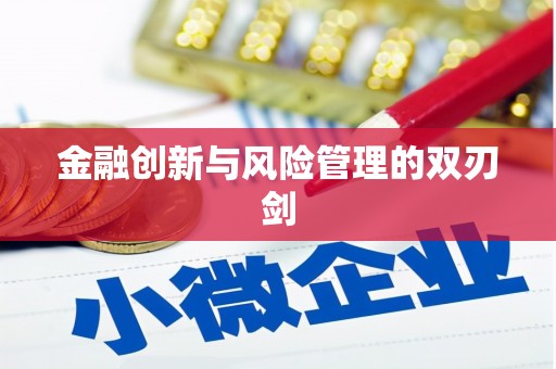 津南金融创新与风险管理的双刃剑