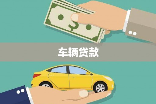 津南车辆贷款