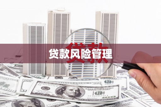 津南贷款风险管理